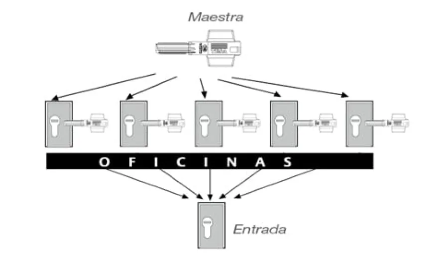 Amaestramiento de portal con maestra para empresa "D"
