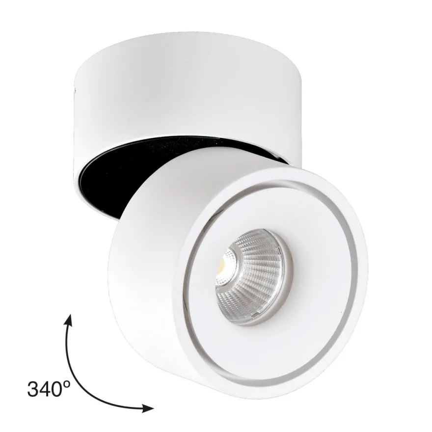 APEX - Aro Orientable redondo Sobrepuesto con lámpara