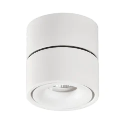 APEX - Aro Orientable redondo Sobrepuesto con lámpara