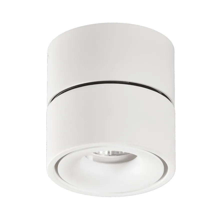APEX - Aro Orientable redondo Sobrepuesto con lámpara