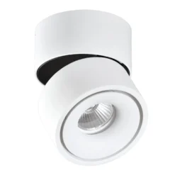 APEX - Aro Orientable redondo Sobrepuesto con lámpara