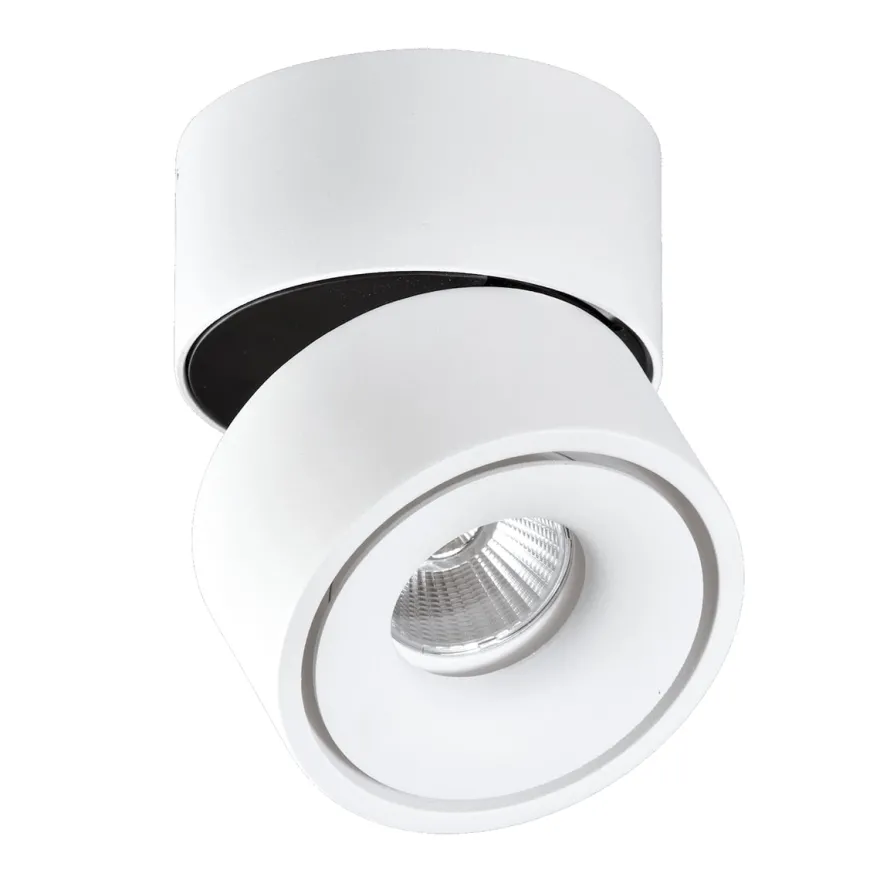 APEX - Aro Orientable redondo Sobrepuesto con lámpara