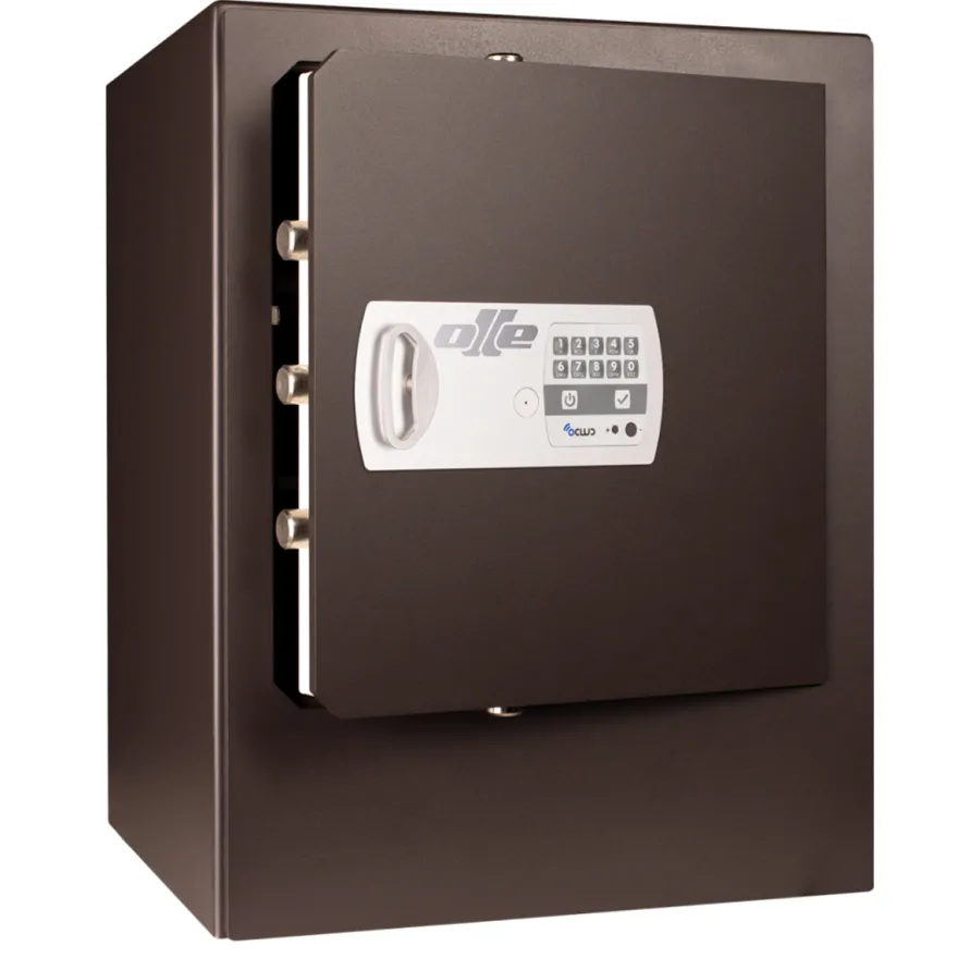Caja fuerte sobrepuesta SERIE 1000 - Apertura digital y llave con sistema Ocluc