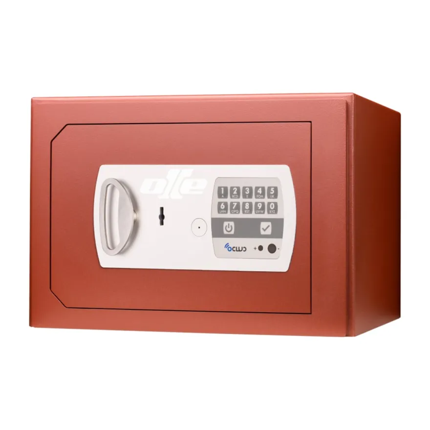Caja fuerte sobrepuesta SERIE 600 - Apertura digital y llave con sistema Ocluc