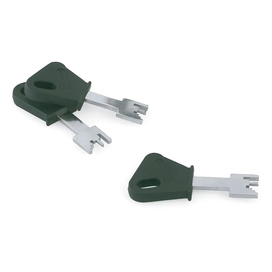 Cerradura MOTTURA R/610 - Golpe y llave