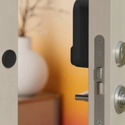 LINUS SMART LOCK L2 - Cerradura inteligente con WiFi integrada
