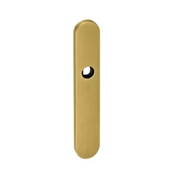 Placa ciega oval con muelle para manillas JNF